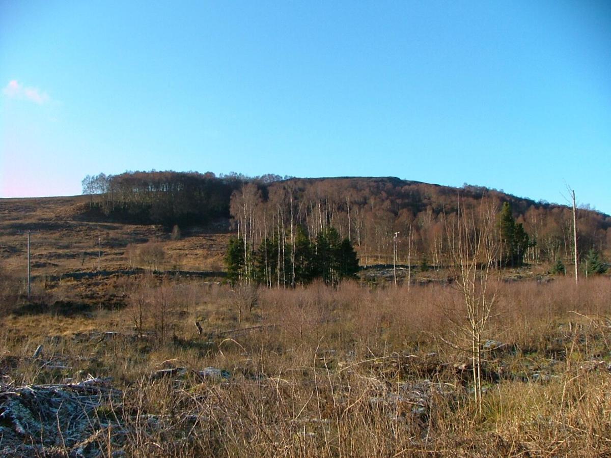 The Struan Inn Self Catering Lodge Esterno foto
